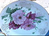 Pink Poppies Plate - Mary Ashcroft Study